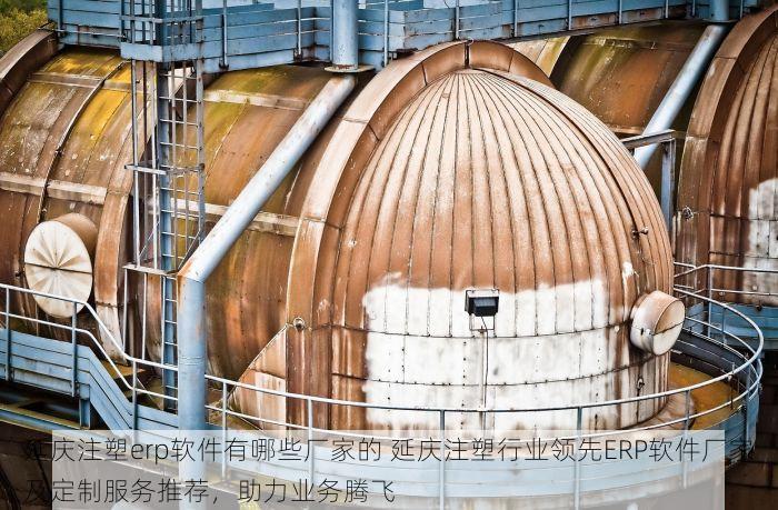 延庆注塑erp软件有哪些厂家的 延庆注塑行业领先ERP软件厂家及定制服务推荐，助力业务腾飞