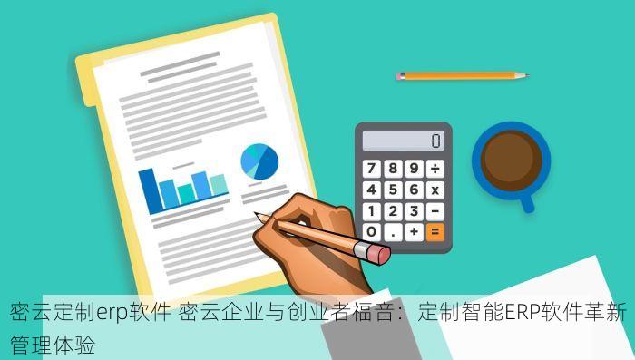 密云定制erp软件 密云企业与创业者福音：定制智能ERP软件革新管理体验