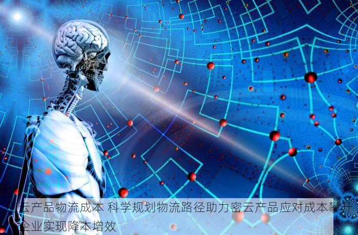密云产品物流成本 科学规划物流路径助力密云产品应对成本攀升，企业实现降本增效