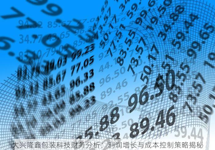 大兴隆鑫包装科技财务分析：利润增长与成本控制策略揭秘