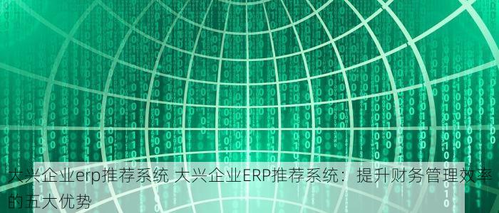 大兴企业erp推荐系统 大兴企业ERP推荐系统：提升财务管理效率的五大优势