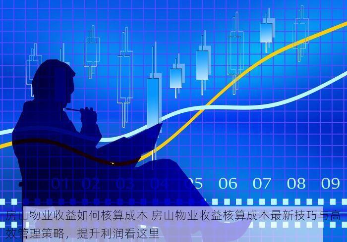 房山物业收益如何核算成本 房山物业收益核算成本最新技巧与高效管理策略，提升利润看这里