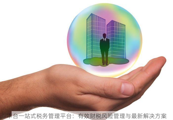 丰台一站式税务管理平台：有效财税风险管理与最新解决方案