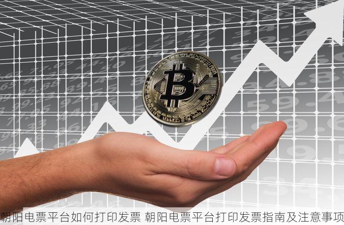 朝阳电票平台如何打印发票 朝阳电票平台打印发票指南及注意事项
