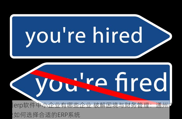 通州erp软件中小企业有哪些企业 破解困境与财务管理：通州中小企业如何选择合适的ERP系统