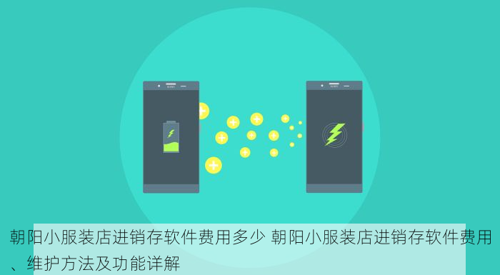 朝阳小服装店进销存软件费用多少 朝阳小服装店进销存软件费用、维护方法及功能详解