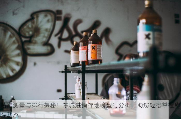 精准测量与排行揭秘！东城进销存地磅型号分析，助您轻松掌握库存动态