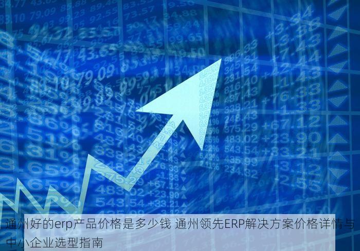 通州好的erp产品价格是多少钱 通州领先ERP解决方案价格详情与中小企业选型指南
