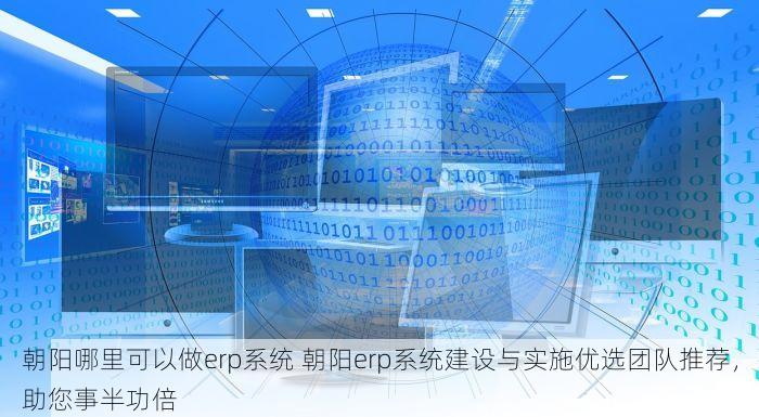 朝阳哪里可以做erp系统 朝阳erp系统建设与实施优选团队推荐，助您事半功倍