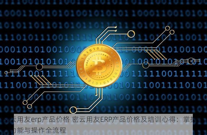 密云用友erp产品价格 密云用友ERP产品价格及培训心得：掌握核心功能与操作全流程