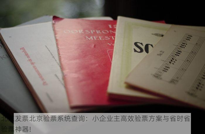 北京发票北京验票系统查询：小企业主高效验票方案与省时省力的验票神器!