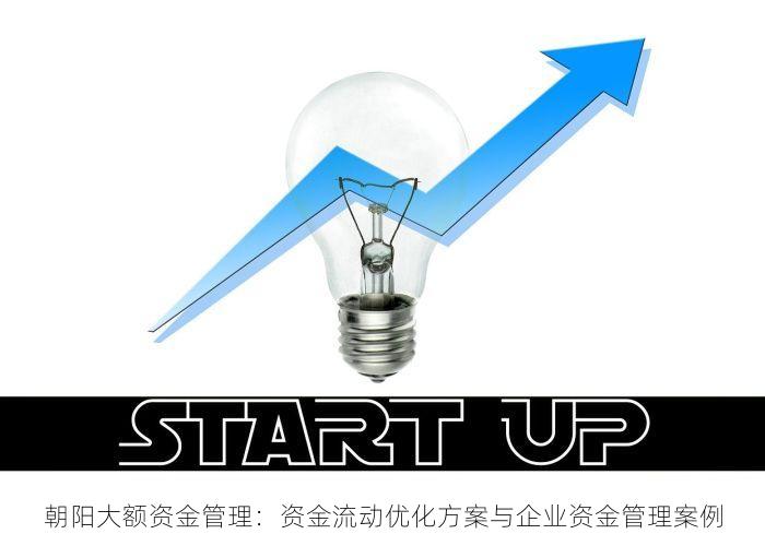 朝阳大额资金管理：资金流动优化方案与企业资金管理案例