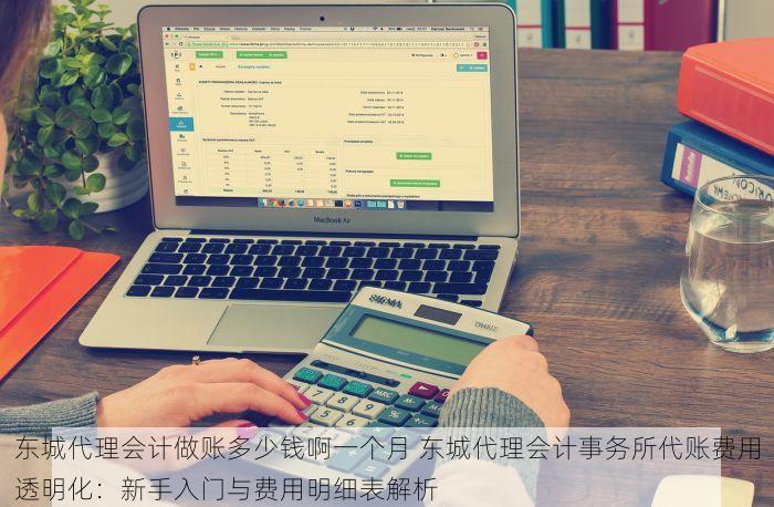 东城代理会计做账多少钱啊一个月 东城代理会计事务所代账费用透明化：新手入门与费用明细表解析