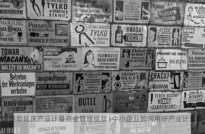 策略助延庆产业计量资金管理提效 | 中小企业如何用好产业计量资金？
