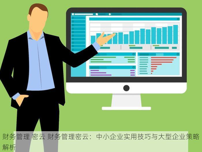 财务管理 密云 财务管理密云：中小企业实用技巧与大型企业策略解析