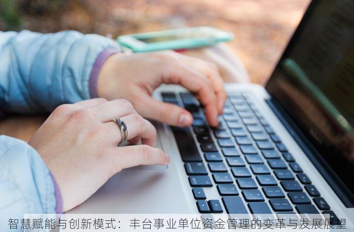 智慧赋能与创新模式：丰台事业单位资金管理的变革与发展展望
