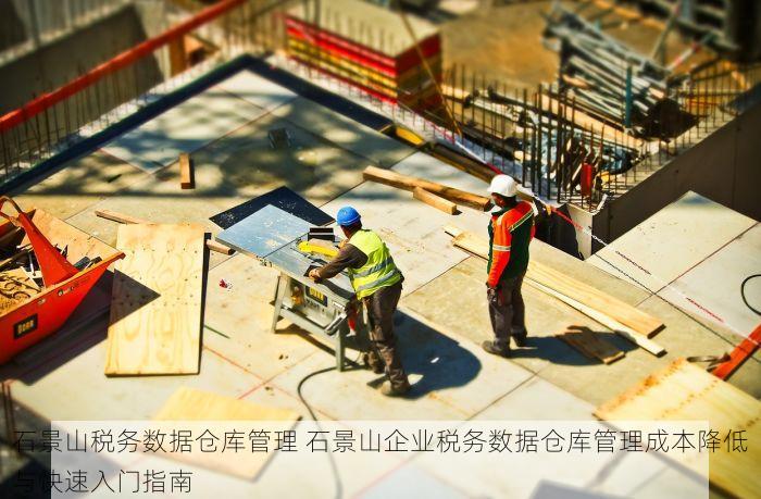 石景山税务数据仓库管理 石景山企业税务数据仓库管理成本降低与快速入门指南