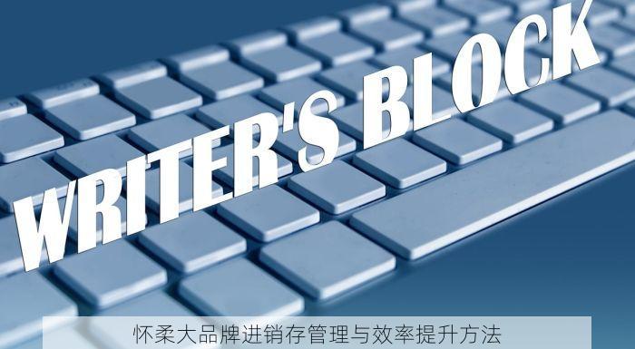怀柔大品牌进销存管理与效率提升方法