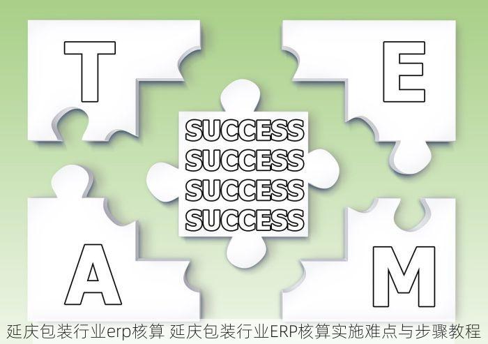 延庆包装行业erp核算 延庆包装行业ERP核算实施难点与步骤教程