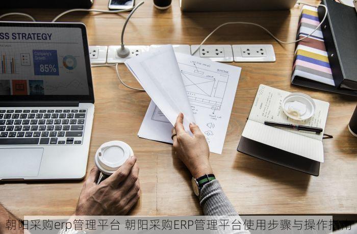 朝阳采购erp管理平台 朝阳采购ERP管理平台使用步骤与操作指南