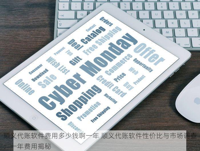 顺义代账软件费用多少钱啊一年 顺义代账软件性价比与市场调查：一年费用揭秘