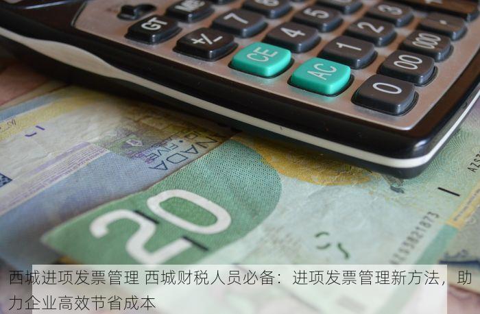 西城进项发票管理 西城财税人员必备：进项发票管理新方法，助力企业高效节省成本