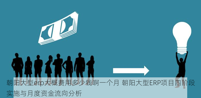 朝阳大型erp大概费用多少钱啊一个月 朝阳大型ERP项目四阶段实施与月度资金流向分析