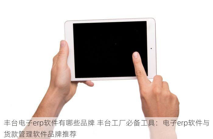 丰台电子erp软件有哪些品牌 丰台工厂必备工具：电子erp软件与货款管理软件品牌推荐
