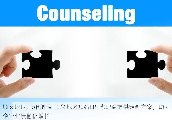 顺义地区erp代理商 顺义地区知名ERP代理商提供定制方案，助力企业业绩翻倍增长