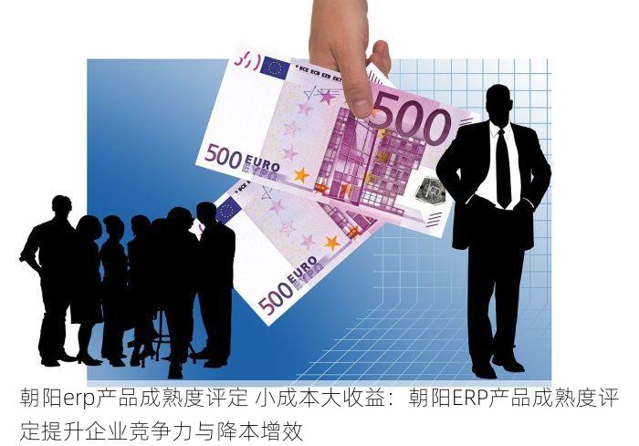朝阳erp产品成熟度评定 小成本大收益：朝阳ERP产品成熟度评定提升企业竞争力与降本增效