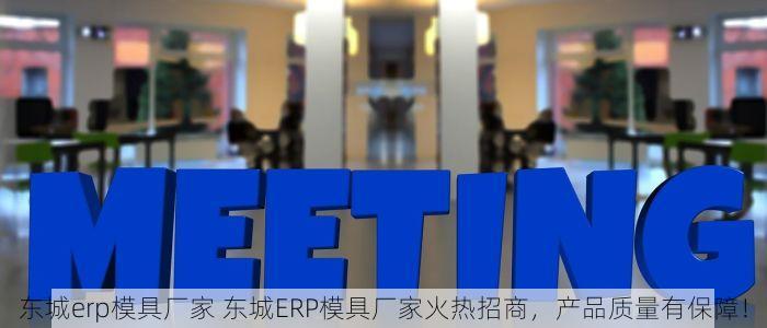 东城erp模具厂家 东城ERP模具厂家火热招商，产品质量有保障！
