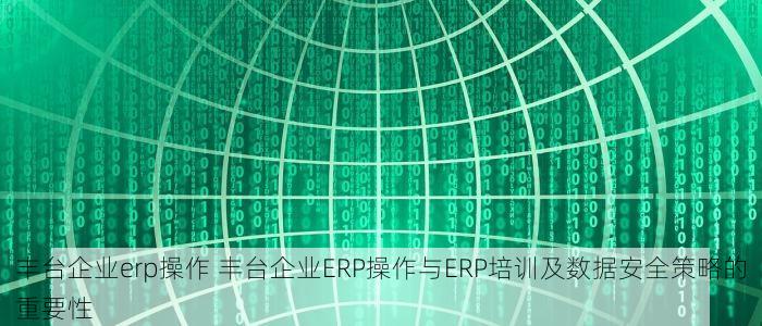丰台企业erp操作 丰台企业ERP操作与ERP培训及数据安全策略的重要性