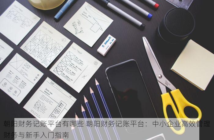 朝阳财务记账平台有哪些 朝阳财务记账平台：中小企业高效管理财务与新手入门指南