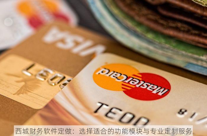 西城财务软件定做：选择适合的功能模块与专业定制服务