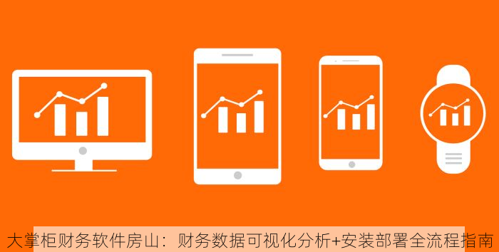 大掌柜财务软件房山：财务数据可视化分析+安装部署全流程指南
