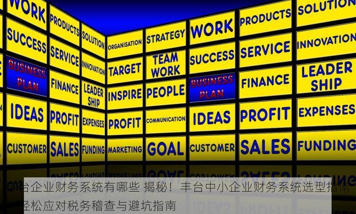 丰台企业财务系统有哪些 揭秘！丰台中小企业财务系统选型指南：轻松应对税务稽查与避坑指南