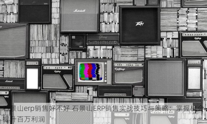 石景山erp销售好不好 石景山ERP销售实战技巧与策略：掌握机会提升百万利润