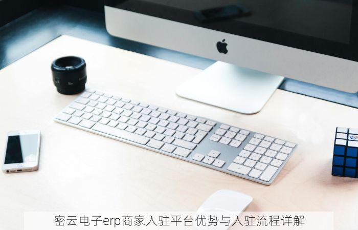 密云电子erp商家入驻平台优势与入驻流程详解