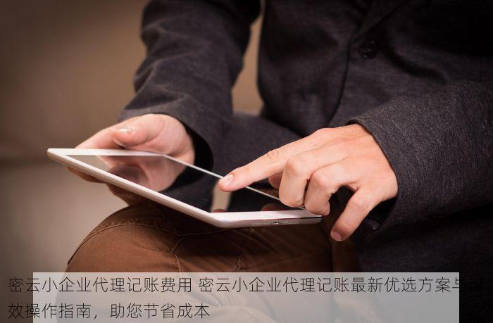 密云小企业代理记账费用 密云小企业代理记账最新优选方案与高效操作指南，助您节省成本