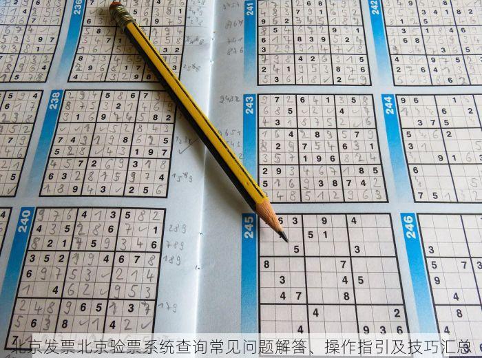 北京发票北京验票系统查询常见问题解答、操作指引及技巧汇总