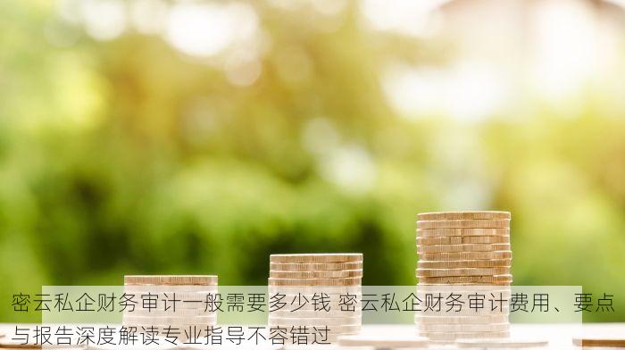 密云私企财务审计一般需要多少钱 密云私企财务审计费用、要点与报告深度解读专业指导不容错过