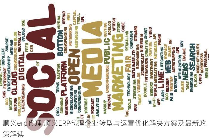 顺义erp代理 顺义ERP代理企业转型与运营优化解决方案及最新政策解读