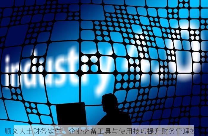 顺义大土财务软件：企业必备工具与使用技巧提升财务管理效率