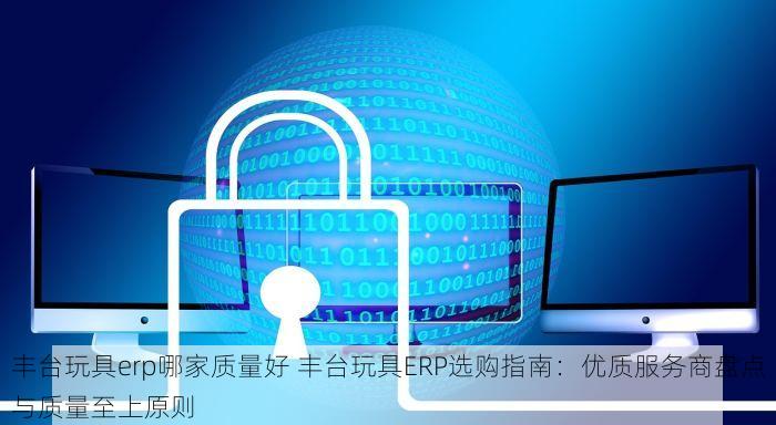 丰台玩具erp哪家质量好 丰台玩具ERP选购指南：优质服务商盘点与质量至上原则