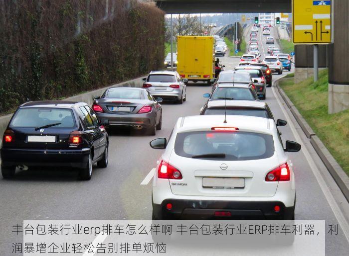 丰台包装行业erp排车怎么样啊 丰台包装行业ERP排车利器，利润暴增企业轻松告别排单烦恼