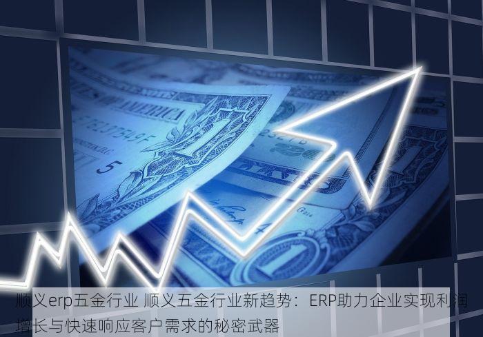 顺义erp五金行业 顺义五金行业新趋势：ERP助力企业实现利润增长与快速响应客户需求的秘密武器