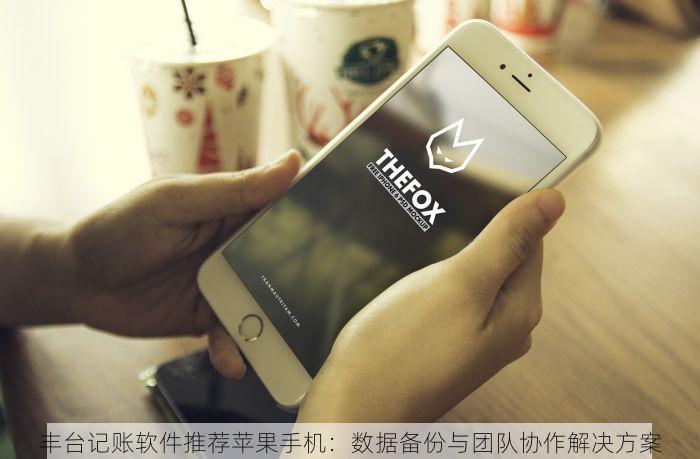丰台记账软件推荐苹果手机：数据备份与团队协作解决方案