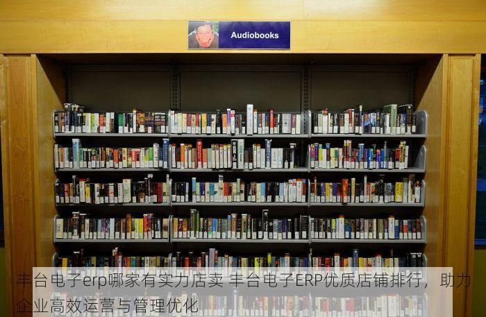 丰台电子erp哪家有实力店卖 丰台电子ERP优质店铺排行，助力企业高效运营与管理优化