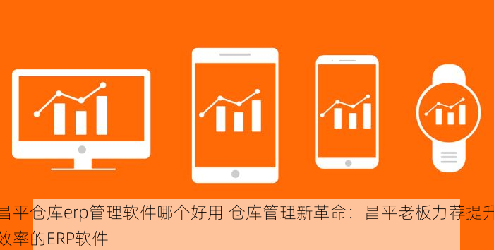 昌平仓库erp管理软件哪个好用 仓库管理新革命：昌平老板力荐提升效率的ERP软件