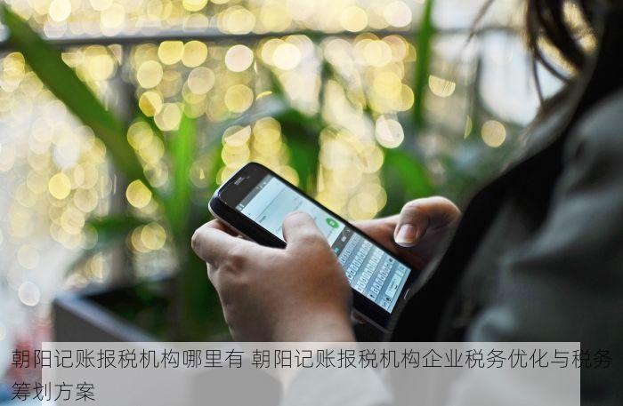 朝阳代理记账米易的优势与注意事项分析